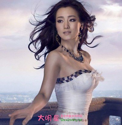巩俐唯美发型图片 巩俐个人资料和近况揭露其感情生活