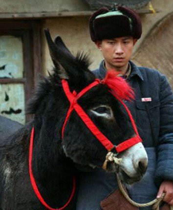 文章耍大牌伟闻回顾