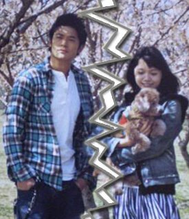 宫崎葵,高冈苍佑