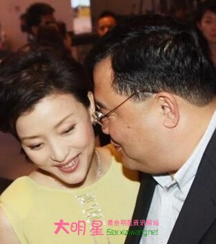 杨澜,张一兵