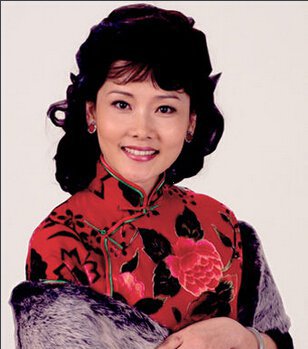 何赛飞