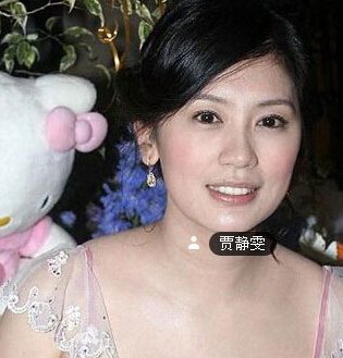 贾静雯,修杰楷