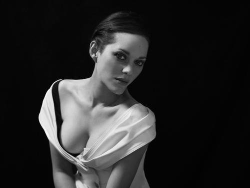 NO2Marion Cotillard Marion CotillardǷһԱ1975930գСõ͡ڰʿ𡷵ȵӰƷ 
