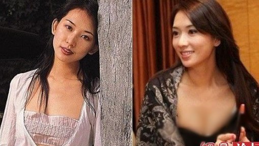 女明星谁隆过胸 哪些明星隆胸了