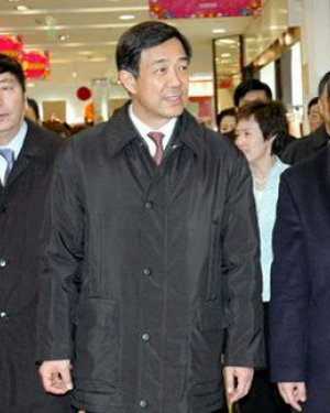 陆昊妻子孟静个人资料及近况和图片