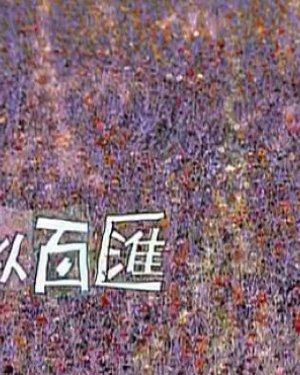 Ӿ硶ưٻ㡷ڸϼͼƬ ھ