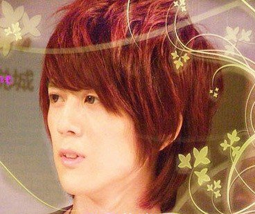 网络红人泽美道杨帆图片