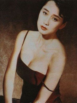 李连杰老婆利智个人资料