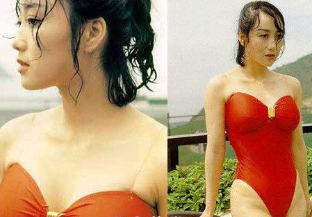 李连杰老婆利智近照