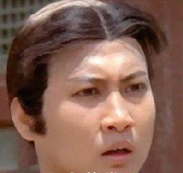 洪金宝老婆,洪金宝老婆高丽虹