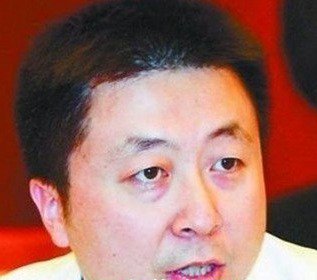 秦海璐老公,秦海璐老公刘岩资料