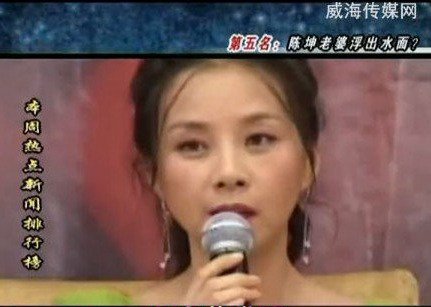 陈坤儿子妈妈何琳资料