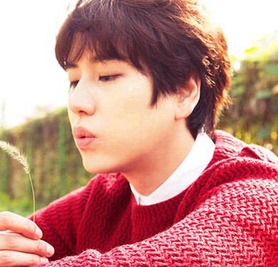Super Junior,