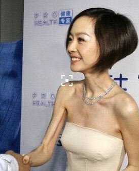 陈鲁豫