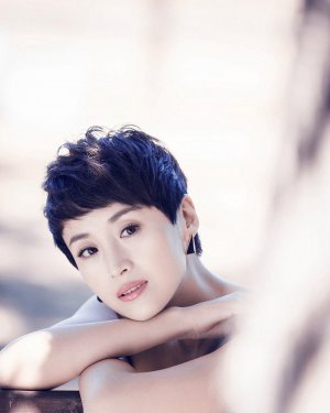 �����������Ϻ�ͼƬ �����Ĺ��ĵ��Ӿ�����Щ