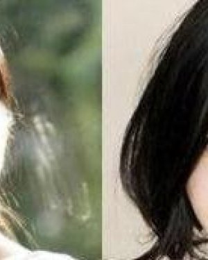 ����ɺ�ͳ���ϣʲô��ϵ ����ɺ�ͳ���ϣ�����ع�