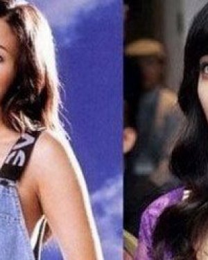 ����Ӣ����ǰ��Ա�ͼƬ ����Ӣ�����������