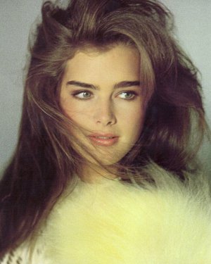 ����С˿�������ϼ�������ͼƬ ����С˿�������շ���