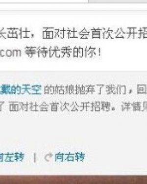 �����������Ҷ���ʲô�� ��������������Ƹϸ��