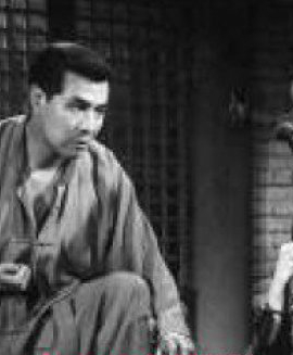 �������������ͼƬ ���������