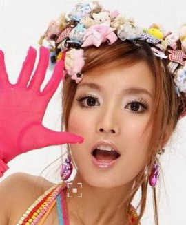 Ҷ����ͼƬ�������Ϻ�ͼƬ���� Ҷ�����ݼ�����