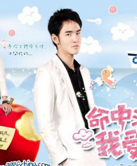 ����ݹ��ĵ��Ӿ� �����������Щ���Ӿ�