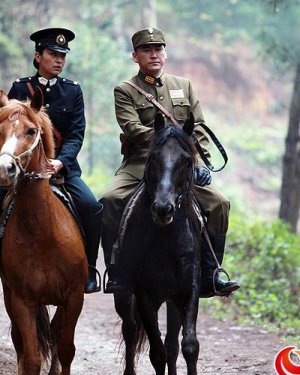 �뷼�ݹ��ĵ��Ӿ� �뷼���ݹ���Щ���Ӿ�