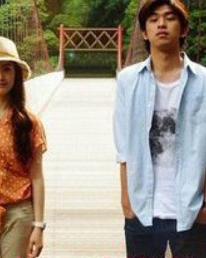 �̲����ݹ��ĵ��Ӿ� �̲�����������Щ���Ӿ�