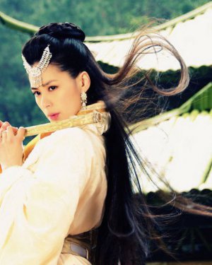 ����ͩ�ݹ��ĵ��Ӿ� ����ͩ��������Щ���Ӿ�