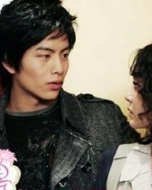 ������ݹ��ĵ��Ӿ� �������������Щ���Ӿ�