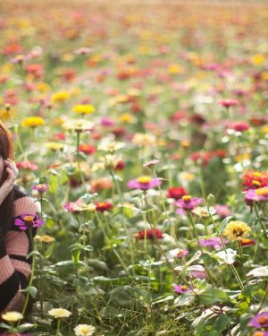 �������ݹ��ĵ��Ӿ� ��������������Щ���Ӿ�