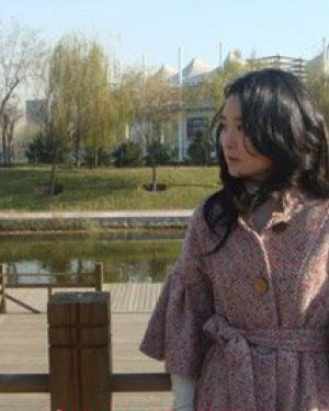 �����ݹ��ĵ��Ӿ� ������������Щ���Ӿ�