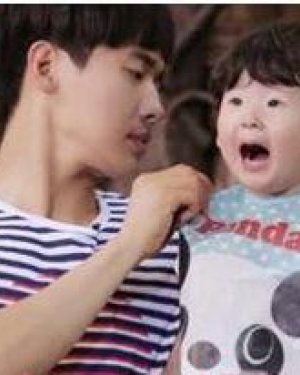 ���ղ��������Ϻ�ͼƬ ���ղ��ɰ���