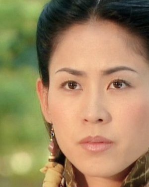 �����ݹ��ĵ��Ӿ� �������ݹ���Щ���Ӿ�