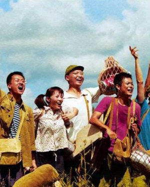 �����ݹ��ĵ��Ӿ���� ������������Щ���Ӿ�