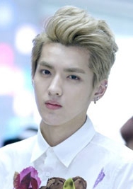 20138EXOʴ˹ά˹дෲͼƬ ˧