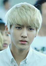 20139EXOдෲͼƬ ʴϺ˧