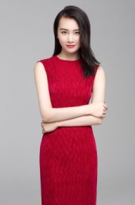 赵飞燕个人资料 赵飞燕背景及演过的影视剧图片