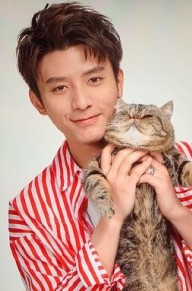 褚前个人资料 褚前背景及演过的影视剧图片