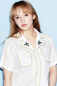  챳